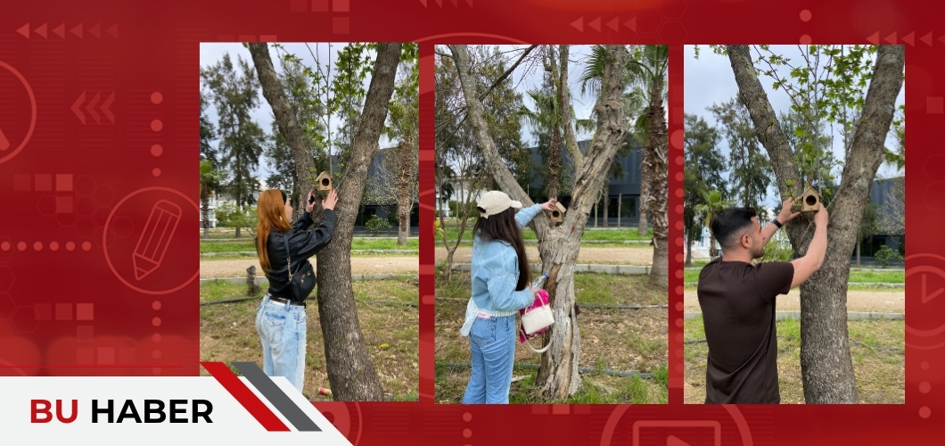 Sanat ve Tasarım Fakültesi İçmimarlık ve Çevre Tasarımı Bölümü Öğrencilerimizden Doğa Dostu Proje.